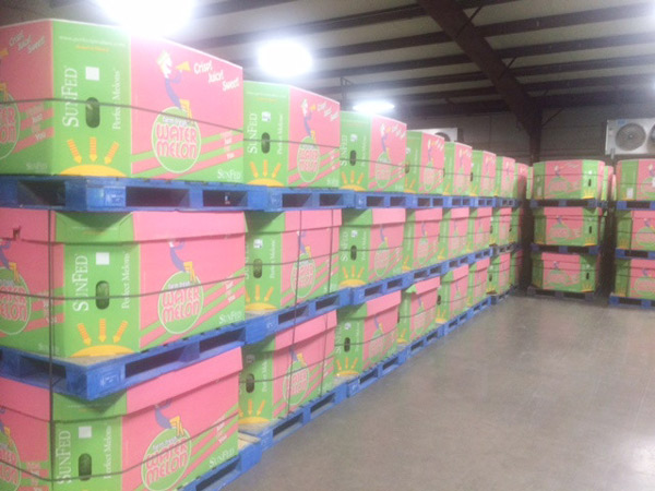 Custom Made Triple Wall Watermelon Bins - Unico Packing