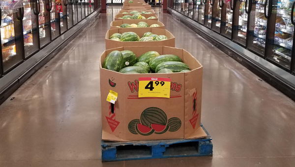 heavy weight watermelon bins