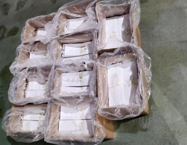 Standard Export Packaging for Sickness Bags