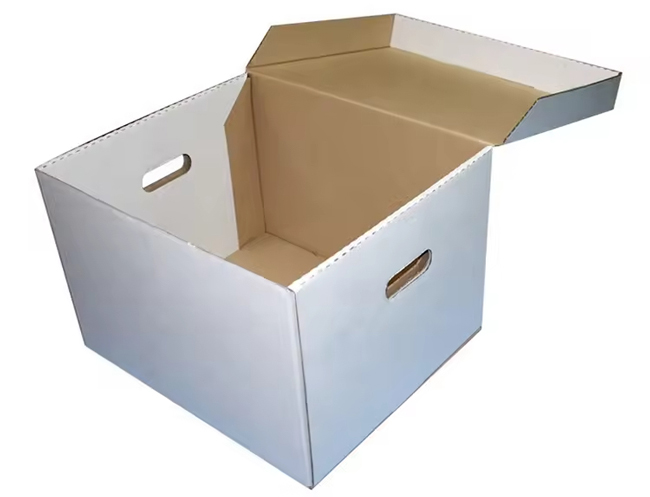 Hinged Lid Cardboard File Storage Box