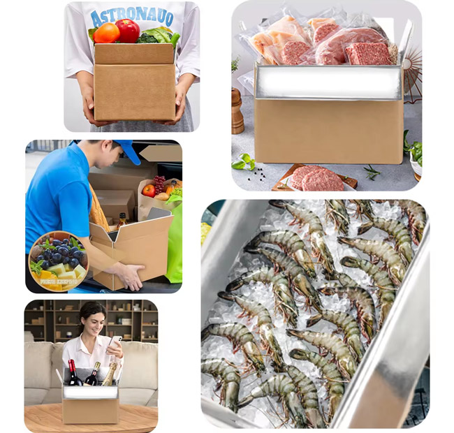 Custom Made Insulated Shipping Boxes for Cold Chain