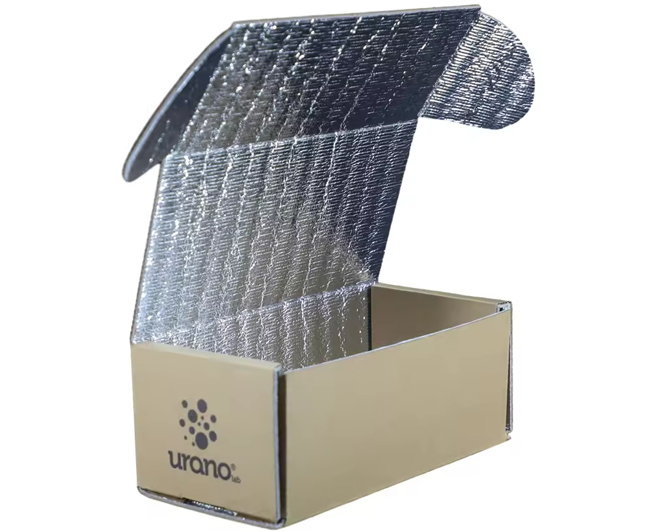 Reusable Insulated Shipping Box for Cold Food
