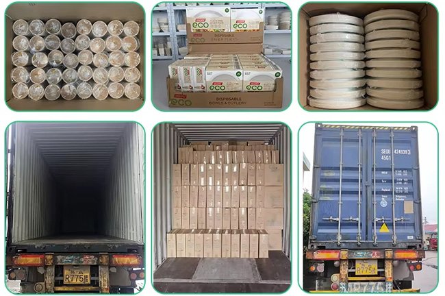 Custom Printed Double Wall Paper Cups Shipment